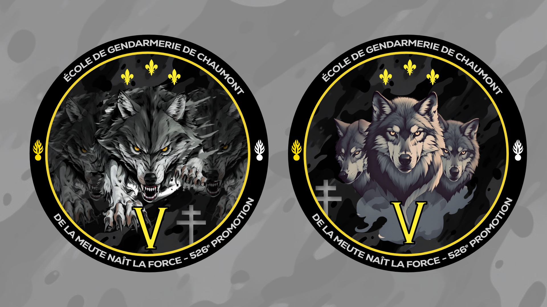 realisation-project-rondache-gendarmerie